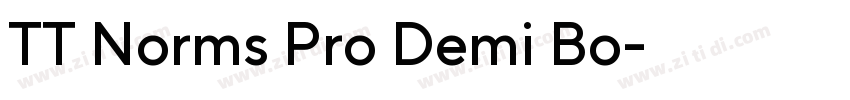 TT Norms Pro Demi Bo字体转换
